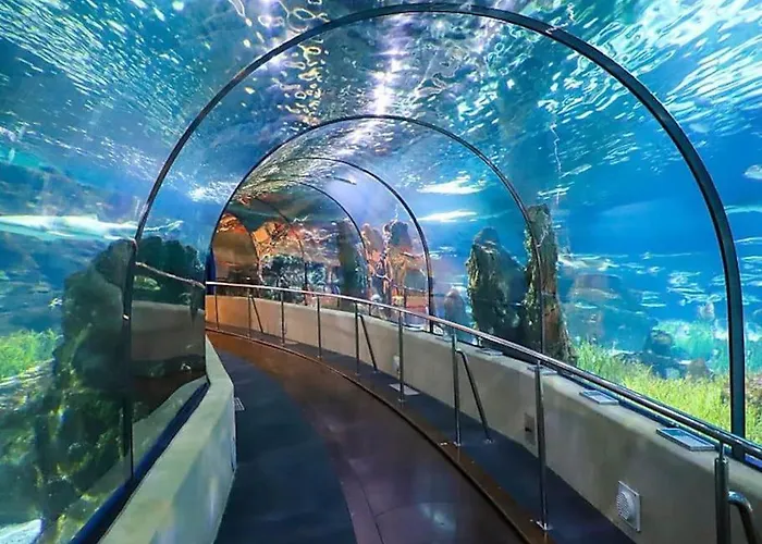 Studio-cabine 6 Couchages Cap-d'agde アグド