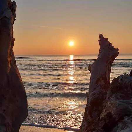 Appartement Studio-cabine 6 Couchages Cap-d'agde